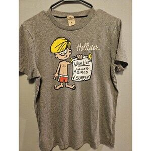 Vintage Y2K Hollister Cali Gray T-Shirt Men’s M Naughty Girls Surfin Graphic Tee